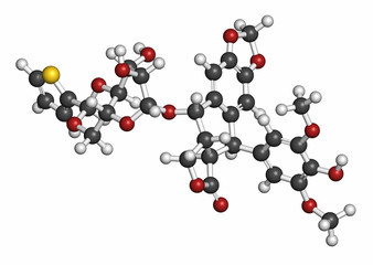 Teniposide cancer drug molecule (topoisomerase II inhibitor). 