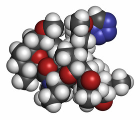 Zotarolimus immunosuppressant molecule. 