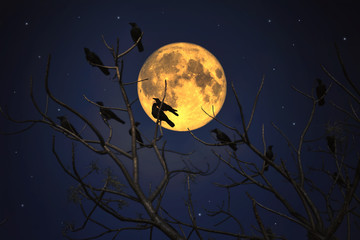 Group of crows sitting on a branch against a full moon