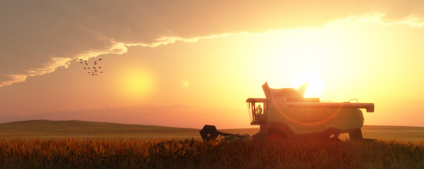 wheat harvester © juanjo