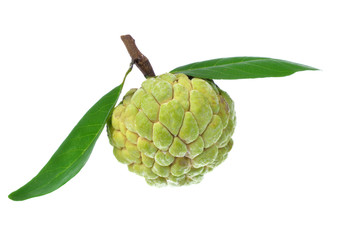 Fresh custard apple isolated on white background