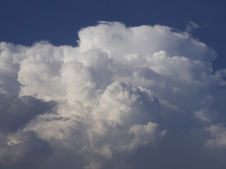 Fototapeta premium 夏空（青空と白雲）