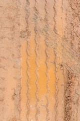 Wheel tracks on a dirt road