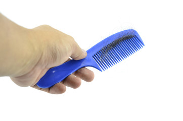 hand holding blue comb contain hairfall  isolated white background