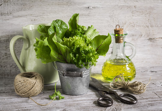 fresh herb garden in a metal bucket, olive oil in glass bottle, old vintage scissors and a jug on a light wooden background