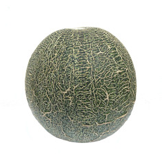 melon isolated on white background
