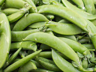 Green pea pod