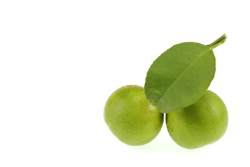Lemon green in Thailand garden on a white background.