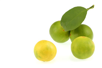 Lemon green in Thailand garden on a white background.