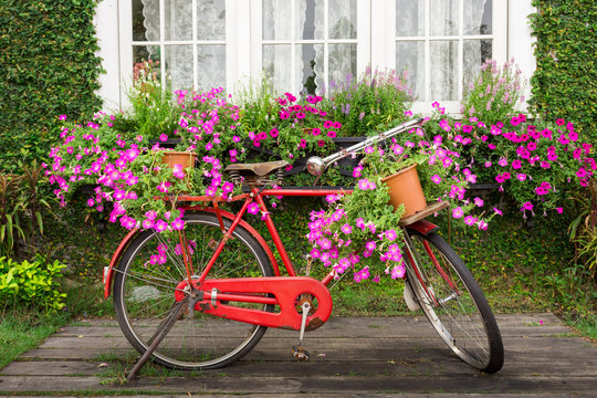 red bicycle with flower