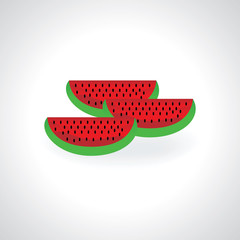 water melon summer concept vector illustration 