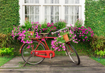 Fototapeta na wymiar red bicycle with flower
