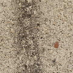 old grungy texture, concrete wall