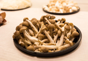 mushroom