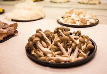 mushroom