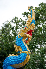 Naga head