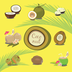 Set of Products of Coconut Tropical Fruit Description