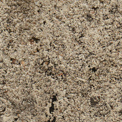 old grungy texture, concrete wall