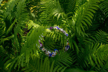 Ligo wearth in fern. Midsummer celebrating in june.