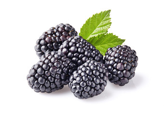 Ripe blackberry