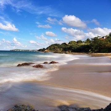 wispy beach