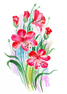 Original art, watercolor painting of pink lily