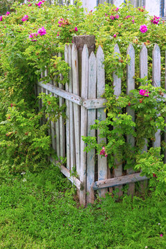 Rural fence