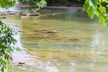 Shallow clear mountain river and layered rock bottom.