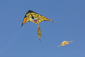 Lyon shaped parachute on sunny sky