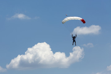 Paraglider flying in summer day