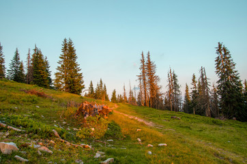 Пейзаж закатное небо в Карпатах с елями