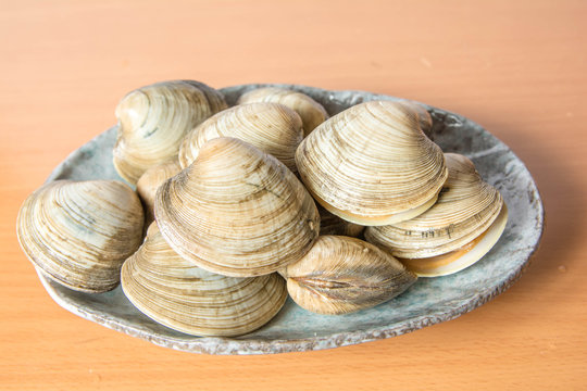 白はまぐり