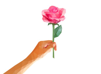 low poly polygon rose in her hand isolated line on white backgro