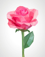 low poly polygon rose pink flower isolated on a green stem roman