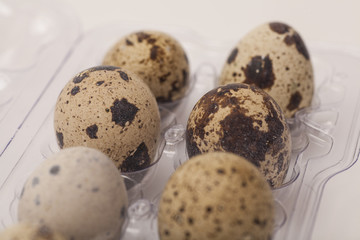 Quail eggs in transparent plastic container