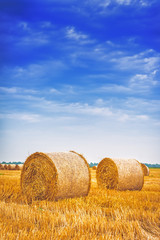 Hay bale rolls in field