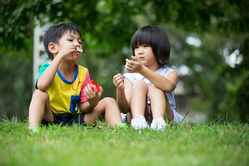 Children in the park blowing soap bubbles