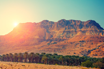 Judäische Wüste in Israel bei Sonnenuntergang