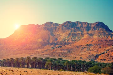 Selbstklebende Fototapete Dürre Judäische Wüste in Israel bei Sonnenuntergang
