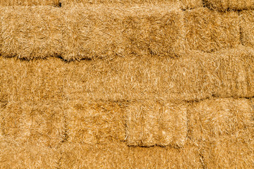 Yellow Straw Bale in Summer