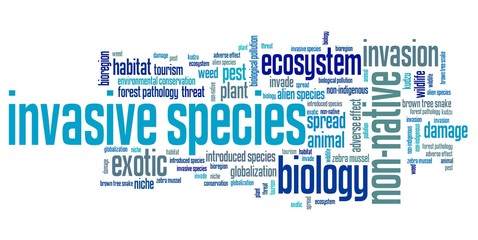 Invasive species word cloud
