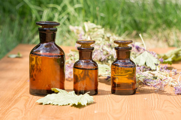 essential oil in little bottle and medical flowers herbs