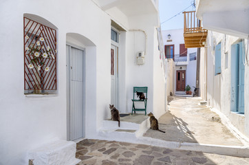 Street in Milos island, Cyclades, Greece