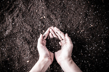 土を触っている手