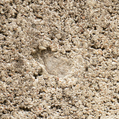 concrete wall texture background