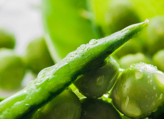   fresh green pea