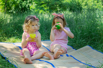 Small cute funny girls (sisters) at the picnic.