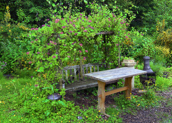 Summer bench in a garden