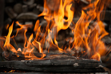 Burning wood in fire