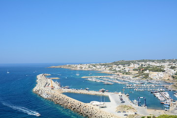 The port © liberowolf